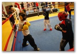 Energy Fight Club